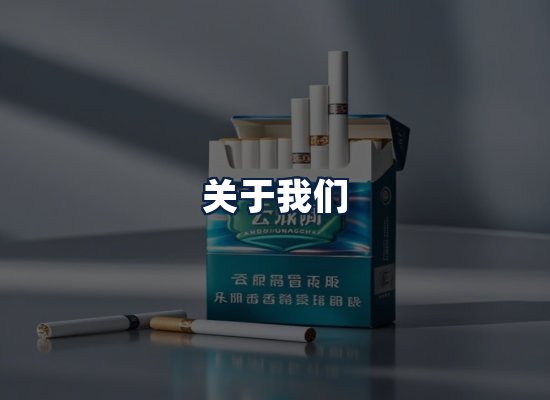 关于我们